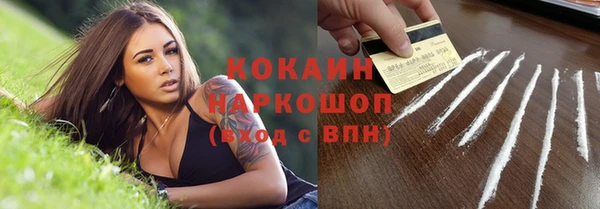 хмурый Магас