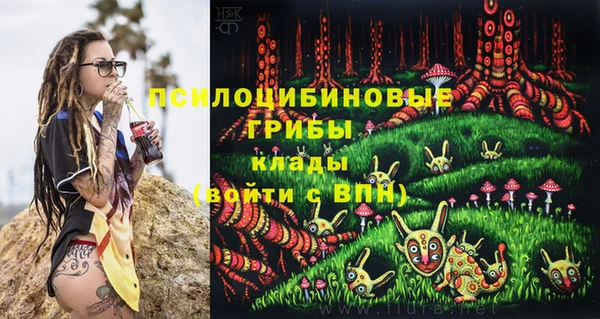 МДМА Медвежьегорск