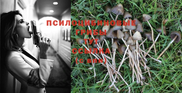 МДМА Медвежьегорск