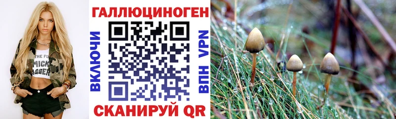 Псилоцибиновые грибы MAGIC MUSHROOMS  сколько стоит  Малая Вишера 